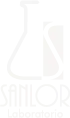 portfolio logo laboratorio-sanlor illustration design puerto vallarta graphic design website
